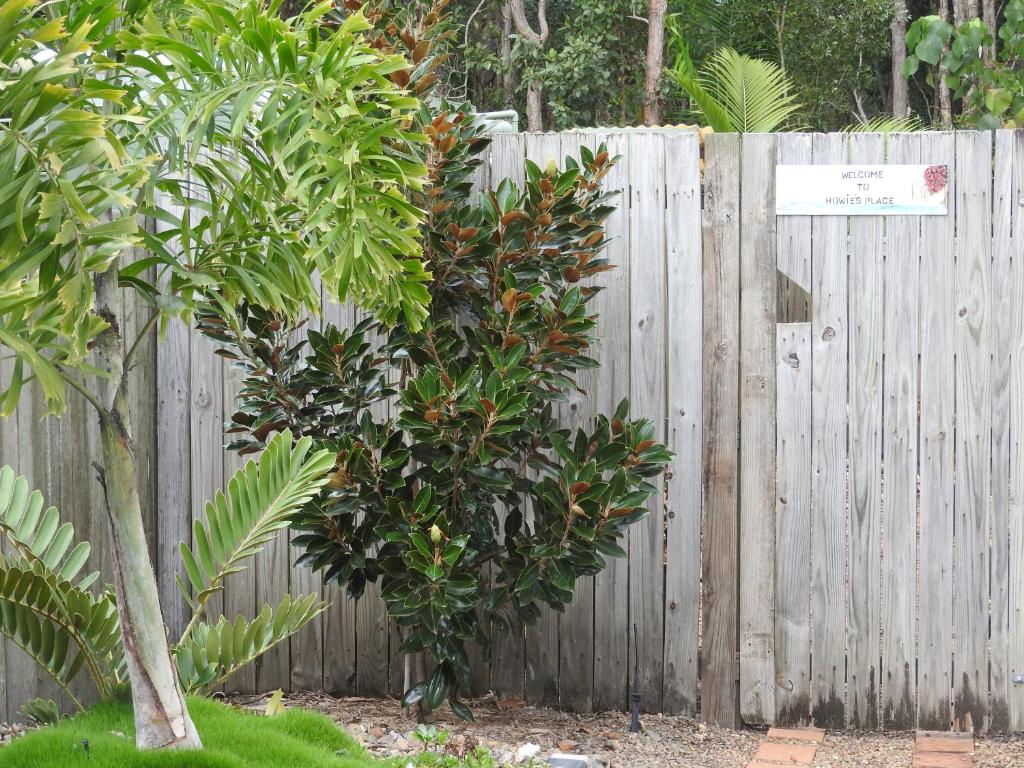 Howie's Place Noosa photo