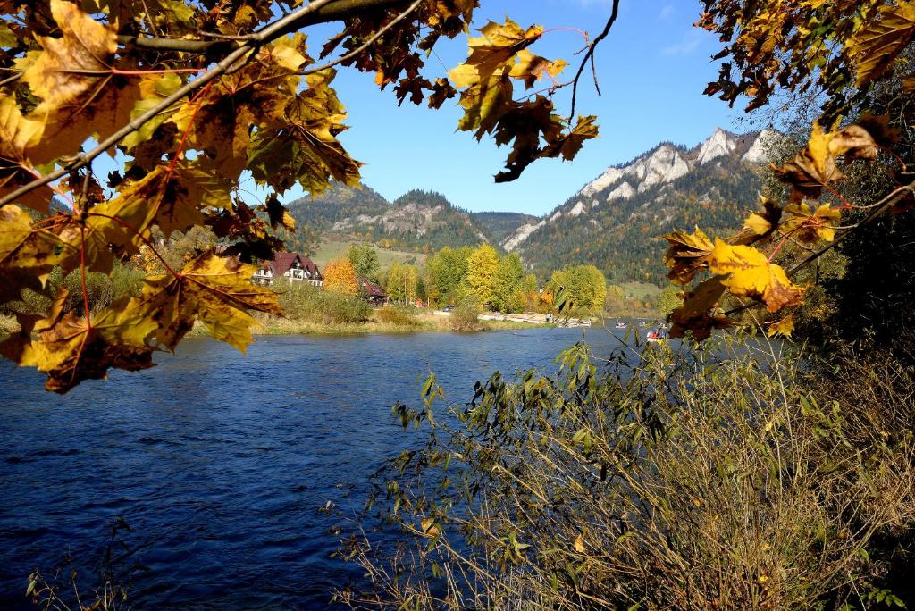 Surrounding environment