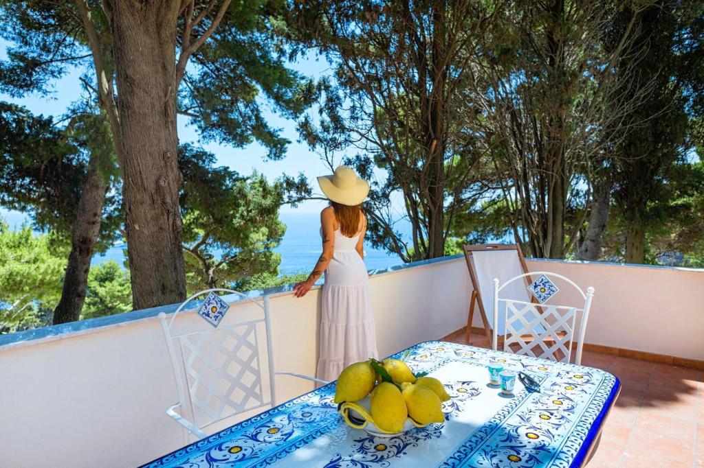 Casa Schiattarella Capri - 1