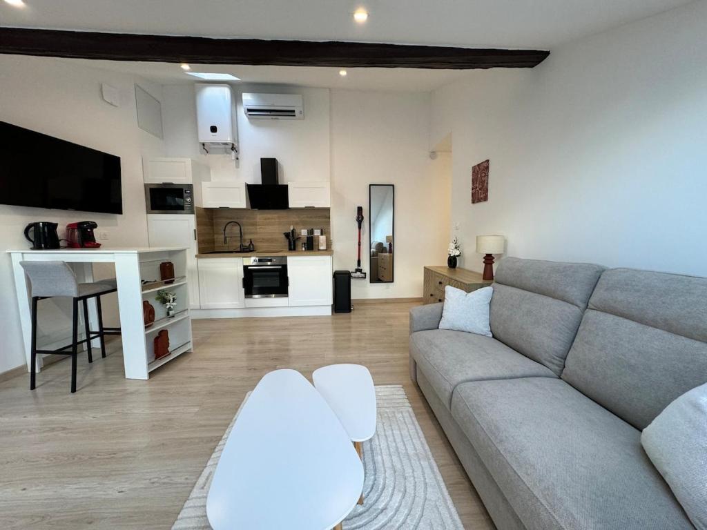 Studio centre ville proche gare TVG - 2