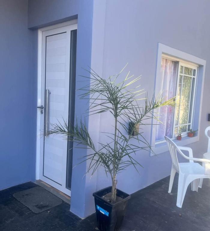 Dpto mar del tuyu - 2