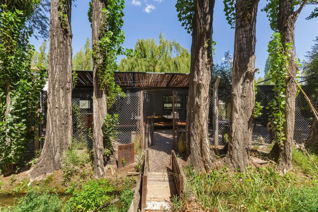 Tiny House Las Compuertas - 5