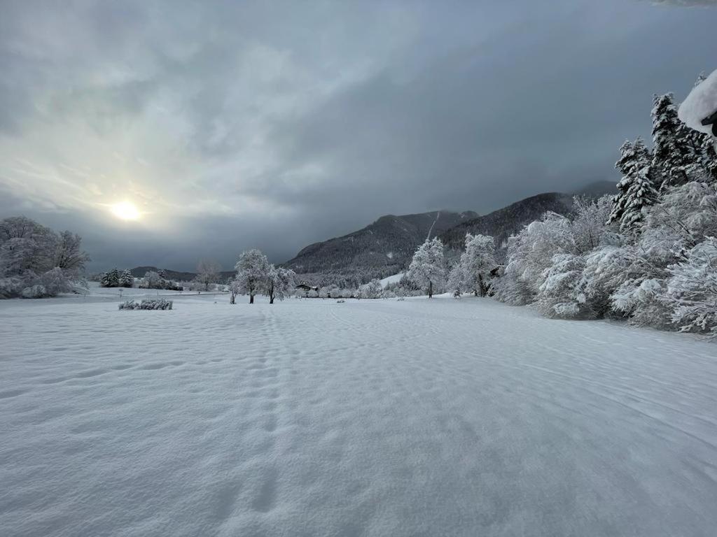 Petzen Cottages - Petzen Chalets - 3