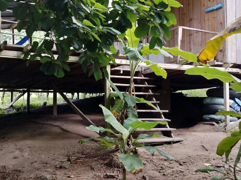 HOSTAL CASA EL RINCON MADERA Lodge - 5