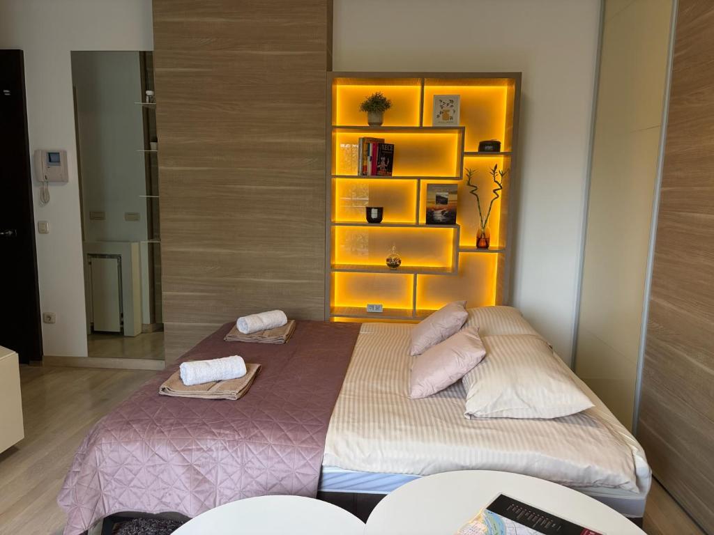 Urban Studio Vračar Centar - Central Belgrade - 3
