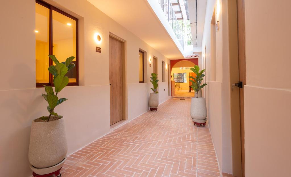Hotel La Casa del Huésped - 1