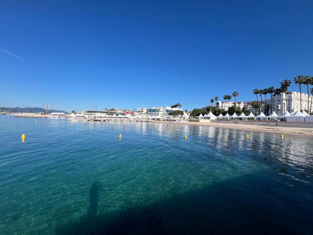 Villa Cannes superbe vue mer - 2