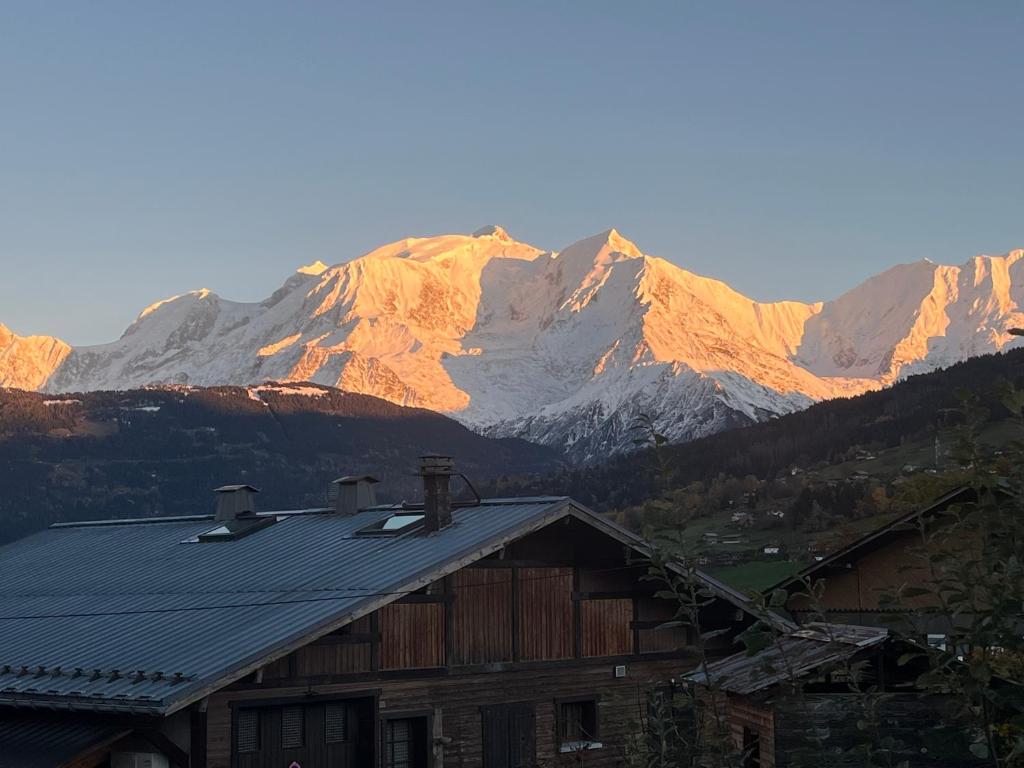 Chalet Taïga face au Montblanc et à 7min de Megève - 3