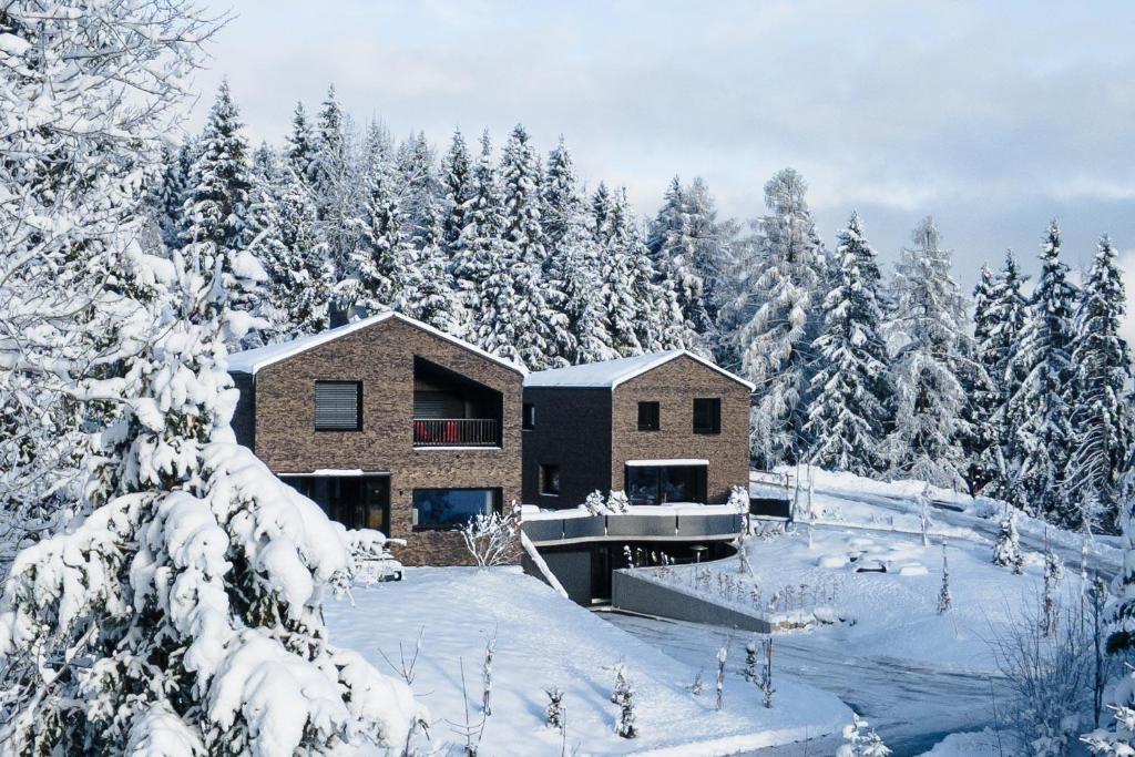 Modernes Architektur-Chalet mit Alpenpanorama - 2