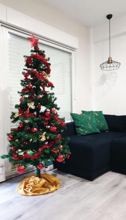 Amazing Apartment - 1