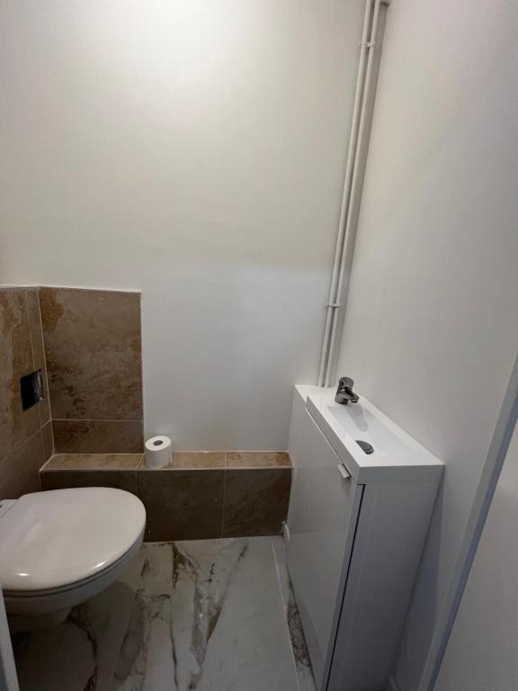 Appartement spacieux centre Colmar - 4