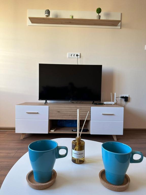 Vojvoda Apartment - 2