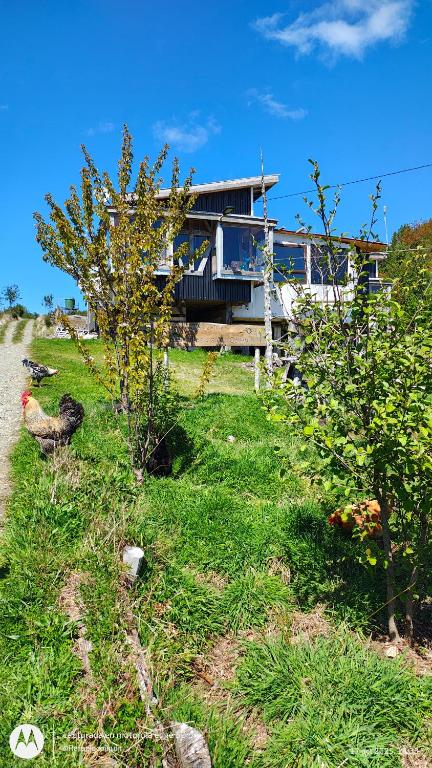 Hospedaje Familiar Refugio Coihuin - 1