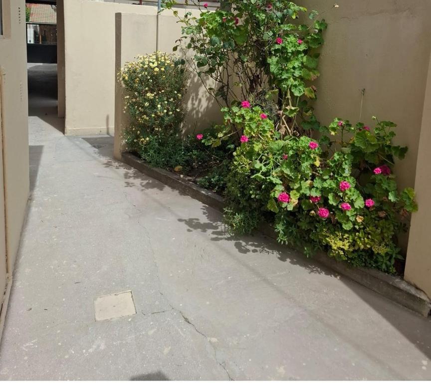 Departamento MonoAmbiente,Mar del Plata, Barrio pinos de anchorena, Alquiler de Temporada - 2