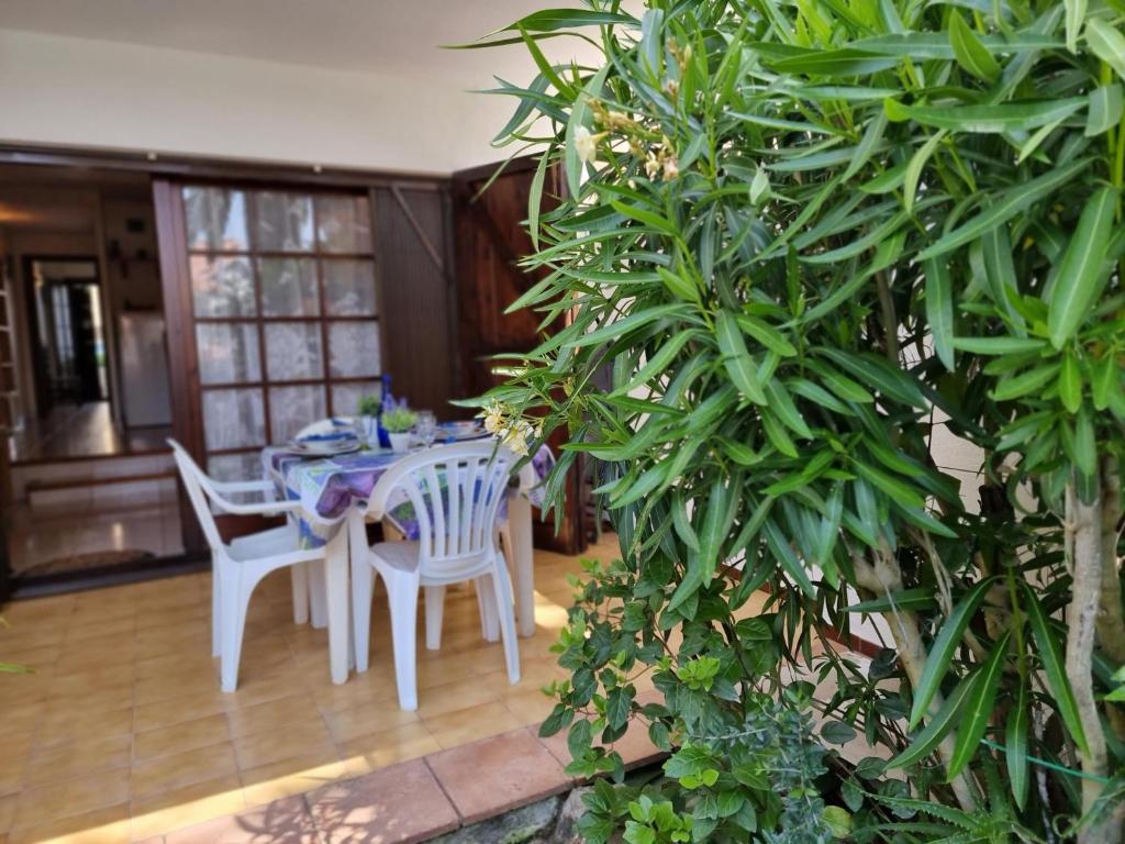 Apartamento con terraza y piscina a 300m de la playa - HISP-236-182 - 4