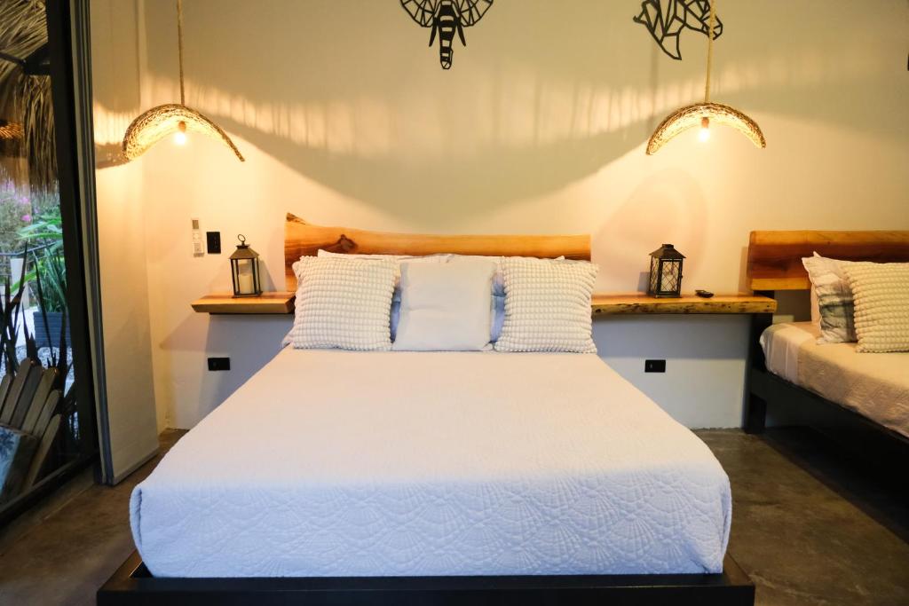 Jungla EcoLuxury Resort - 5