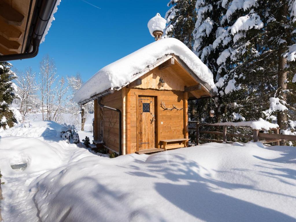 Chalet Steinbock, St Martin am Tennengebirge - 5