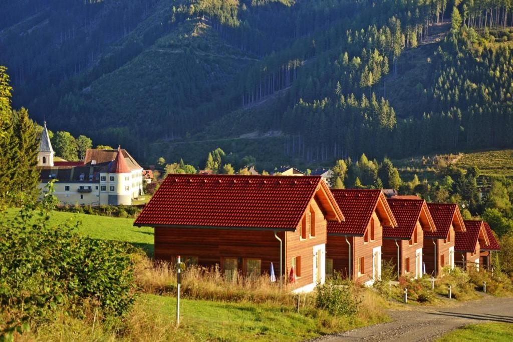Holiday home in Gaal im Murtal in a beautiful setting - 2