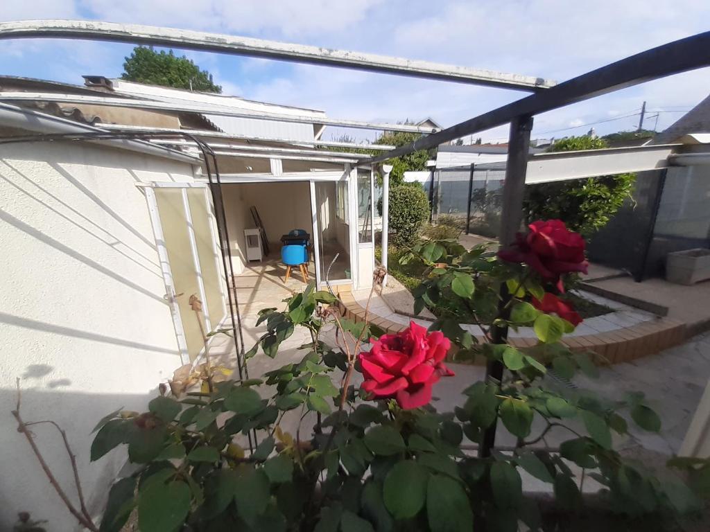 Maison 2 pièces avec jardin Nantes Beaujoire - 3
