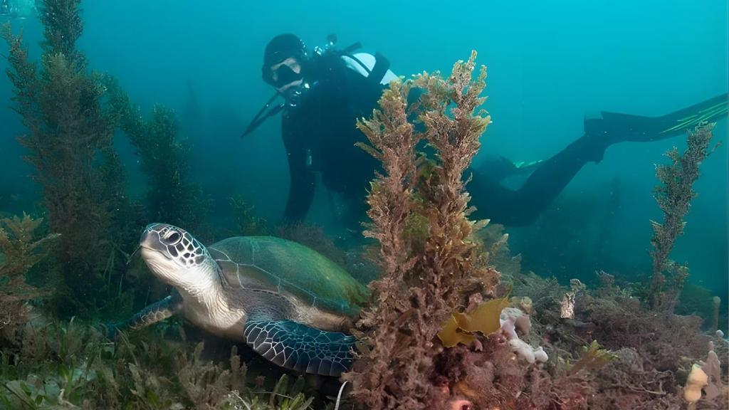 Sports and activities