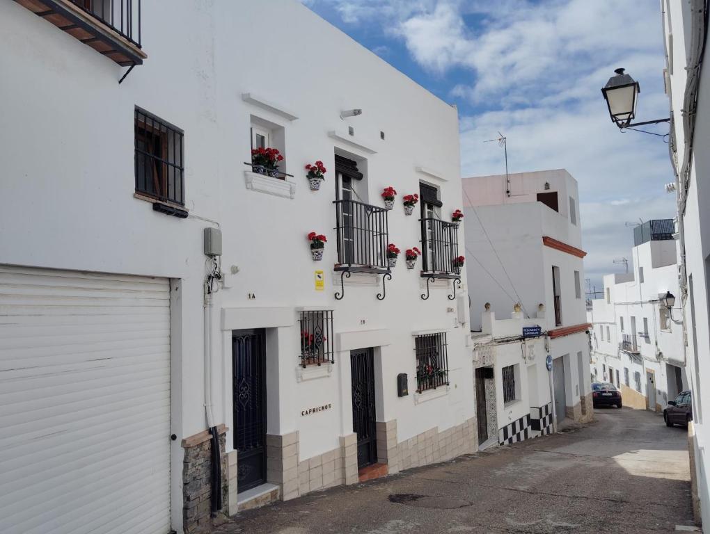 Capricho Verde - 2