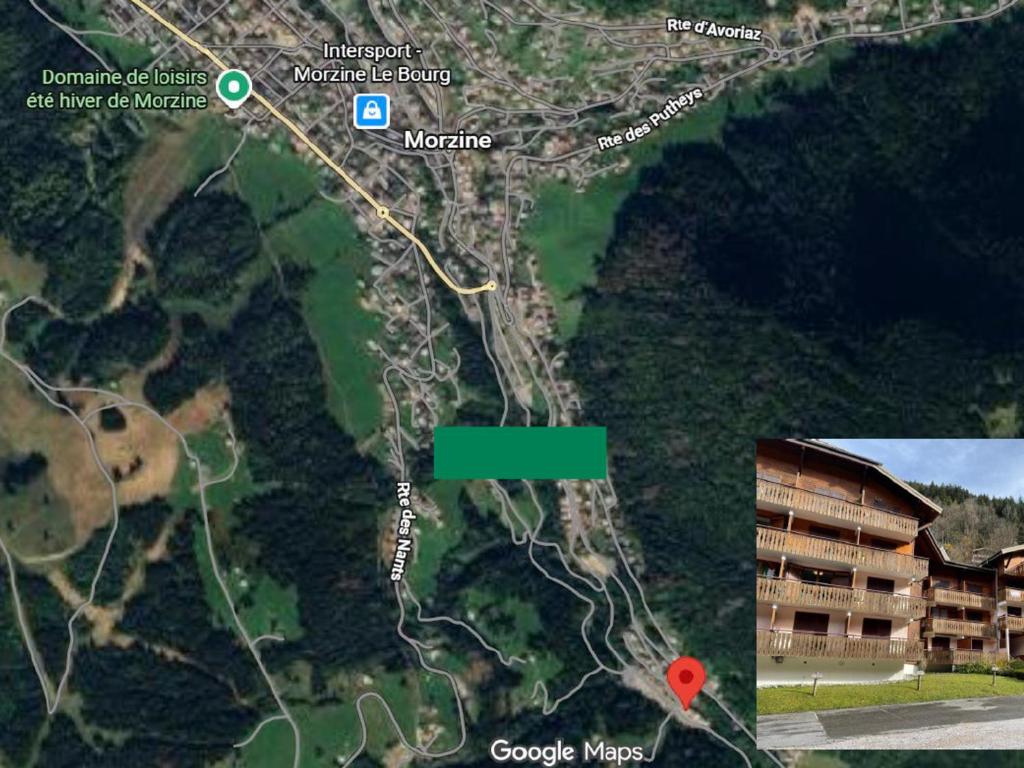 Appartement 4-6 pers au pied des pistes Morzine, animaux admis, parking - FR-1-754-28 - 4