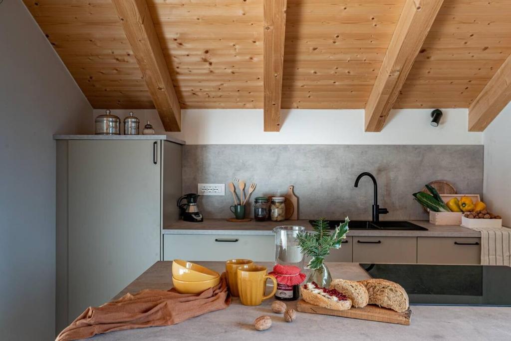 iFlat Pinzolo Penthouse Apartment Volpe - 4