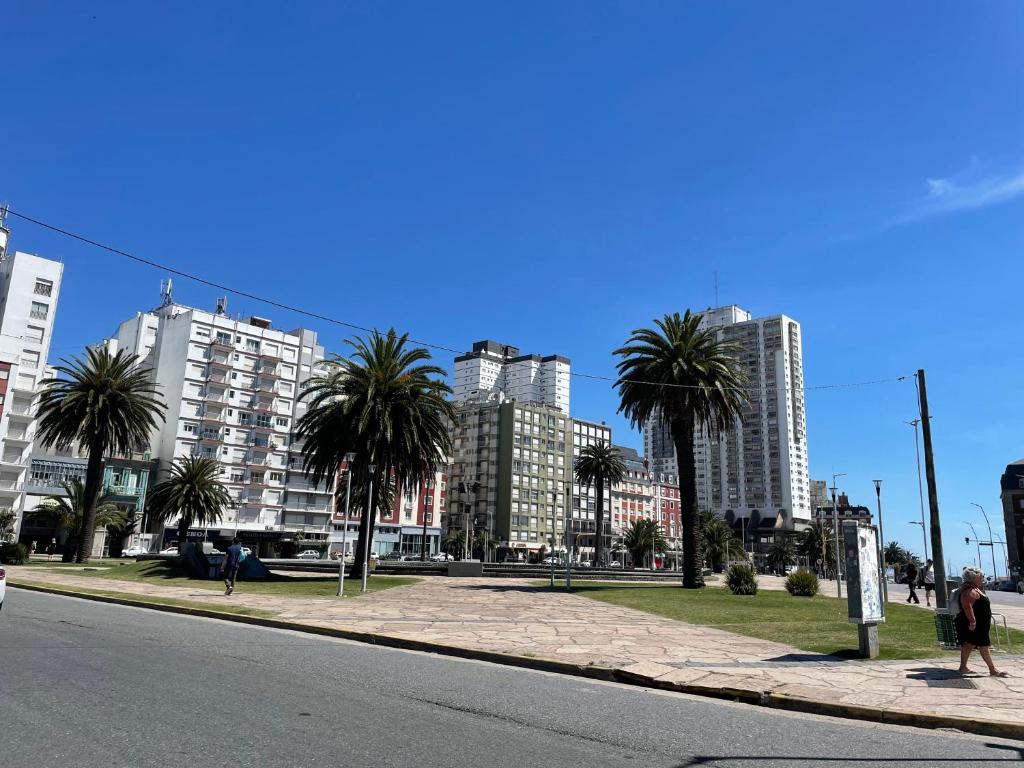 Departamento Plaza Colon - 5