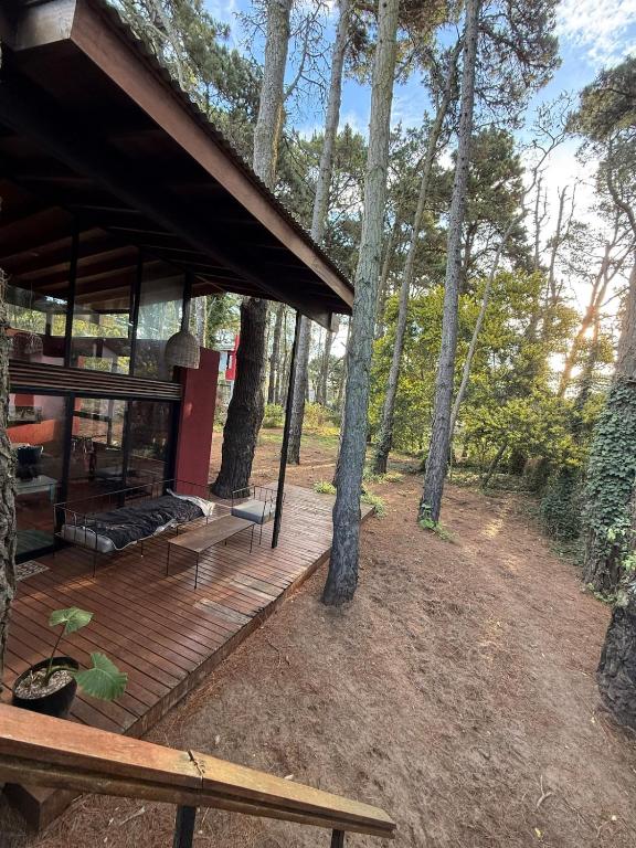 Moderna casa en valeria del mar rodeada de bosque - 4