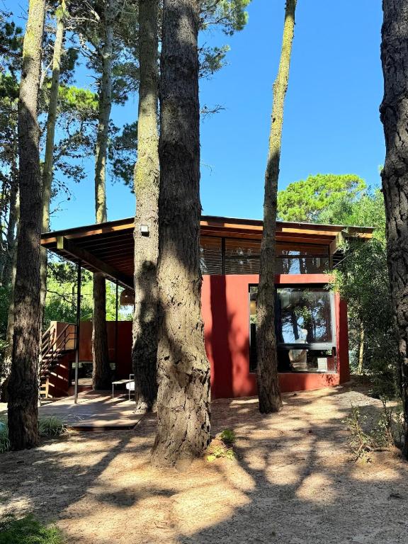 Moderna casa en valeria del mar rodeada de bosque - 3