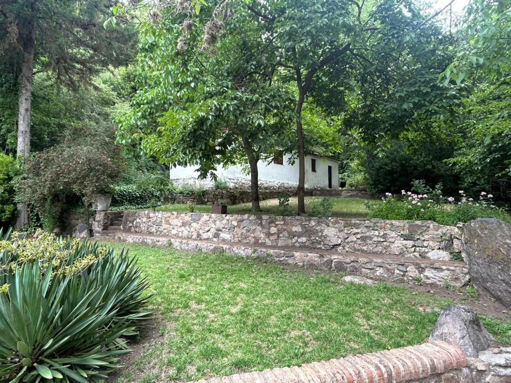 casa para 10-12 en la montaña, pileta, viñedo y naturaleza - 4