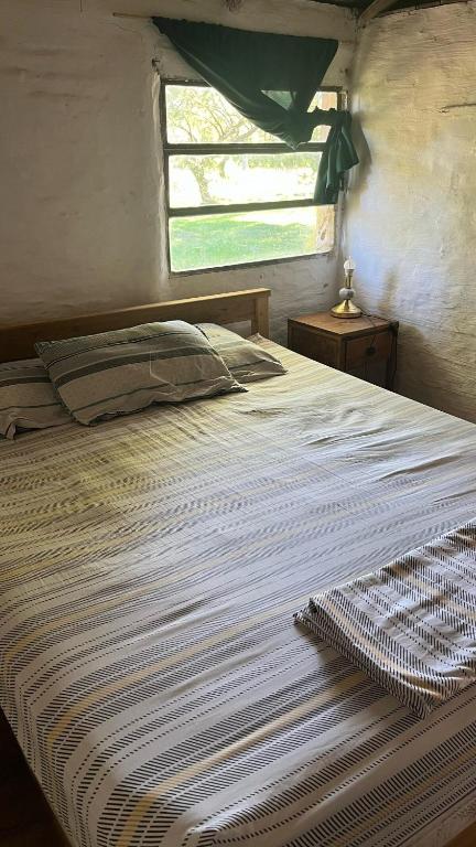 Casa de campo Rancho San Jorge - 5