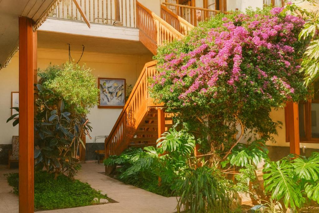 Hotel Halley, Encanto Colonial en el Centro de Vicuña - 2