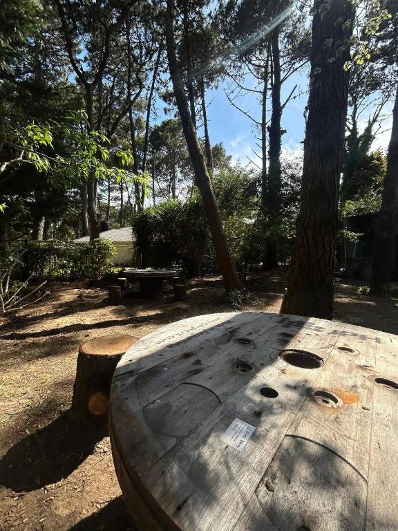 apartamentos costa del este - 2