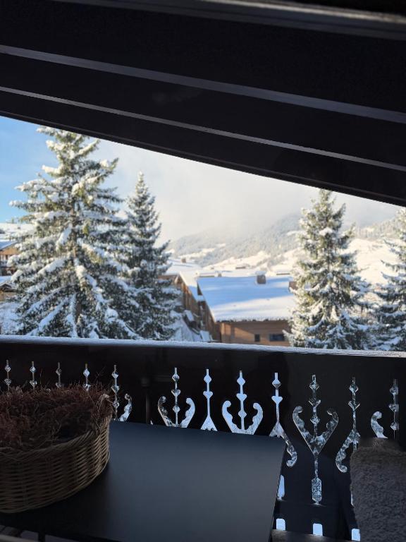 Bel appartement au dernier étage - Megève - 5