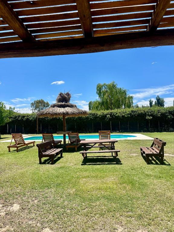 Complejo de Cabañas CABLE A TIERRA Cabaña Malbec San rafael - 5