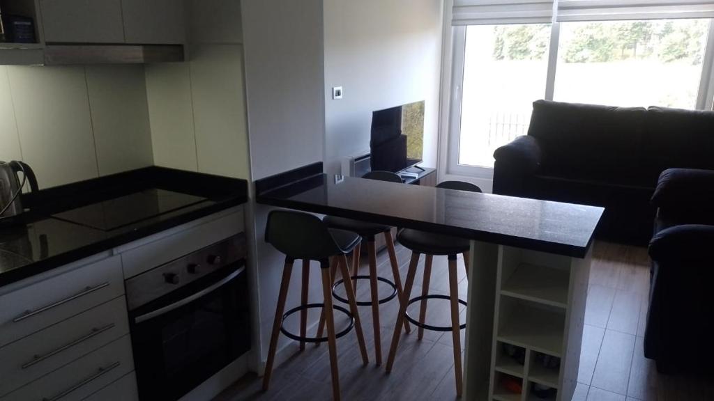 Departamento Céntrico Valdivia,Isla Teja - 5