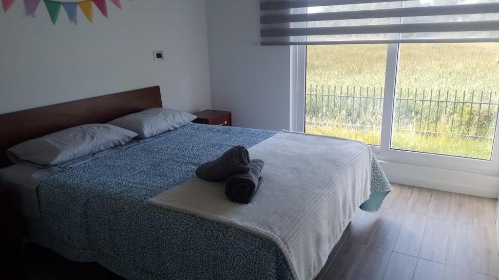 Departamento Céntrico Valdivia,Isla Teja - 1