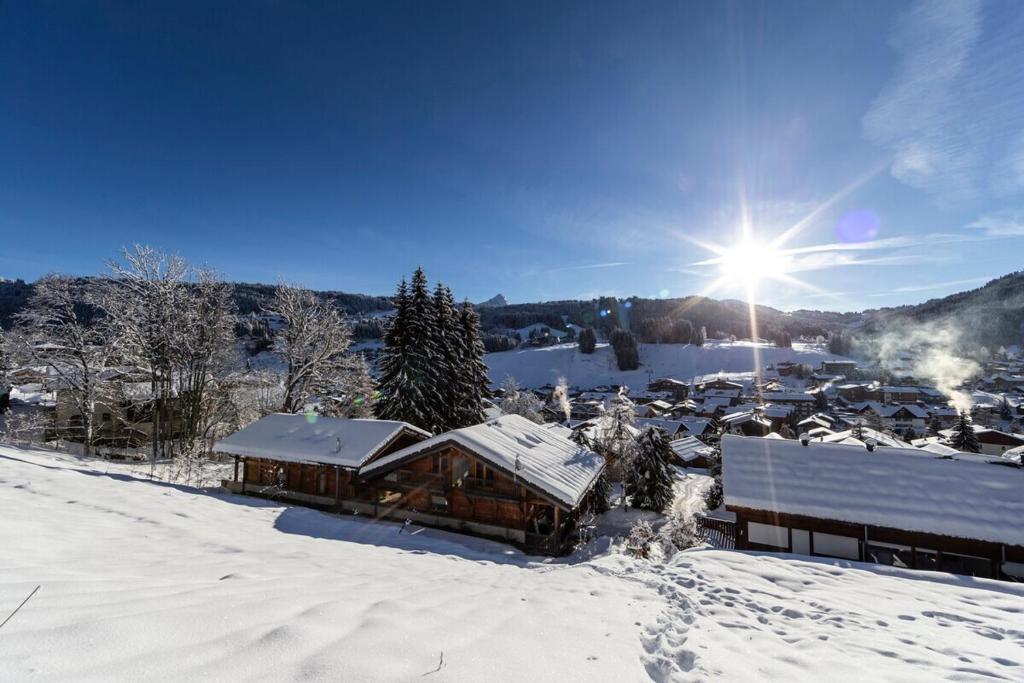 Chalet Ysope Les Gets - by PAJ - 1
