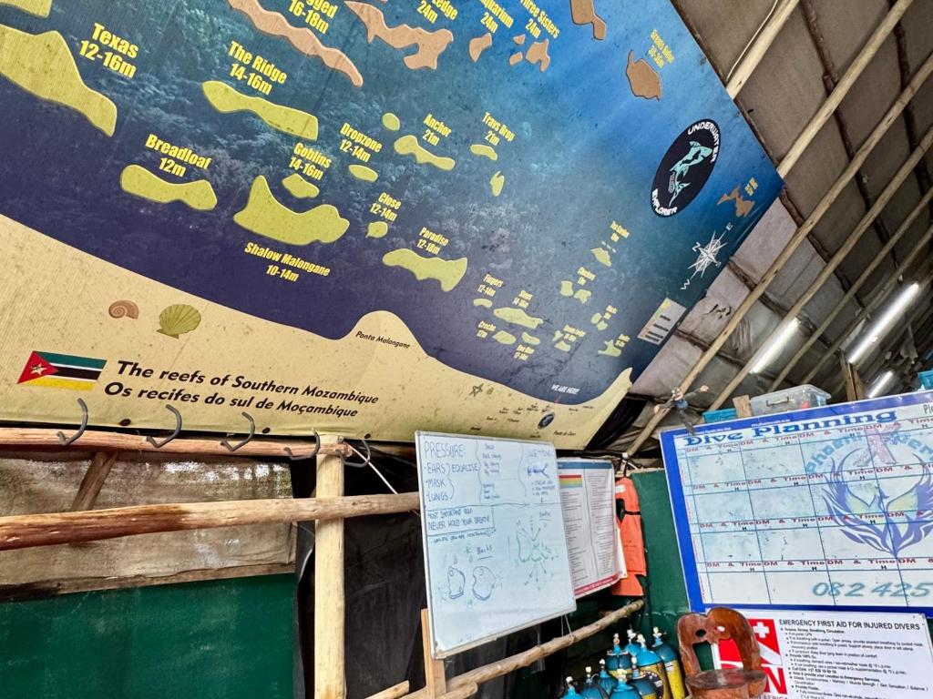 スポーツ/アクティビティ