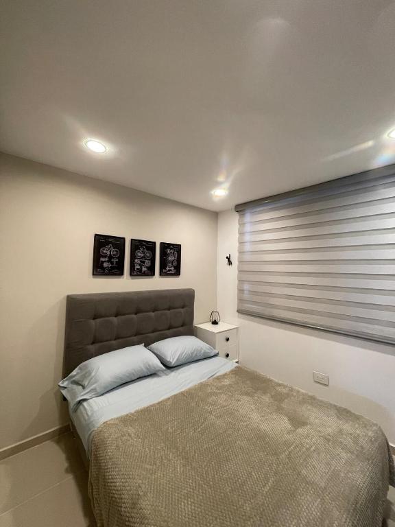 Comfort and relaxation apartment in Floridablanca - 2