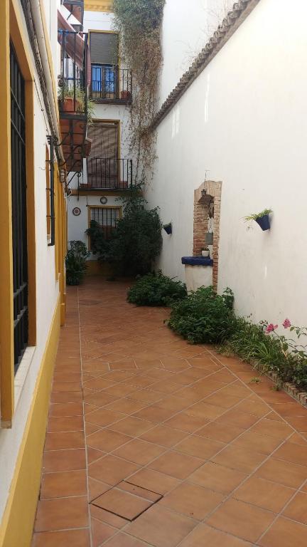 Nuevo y centrico, Santa Marina - 2