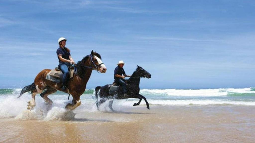 Horseback riding