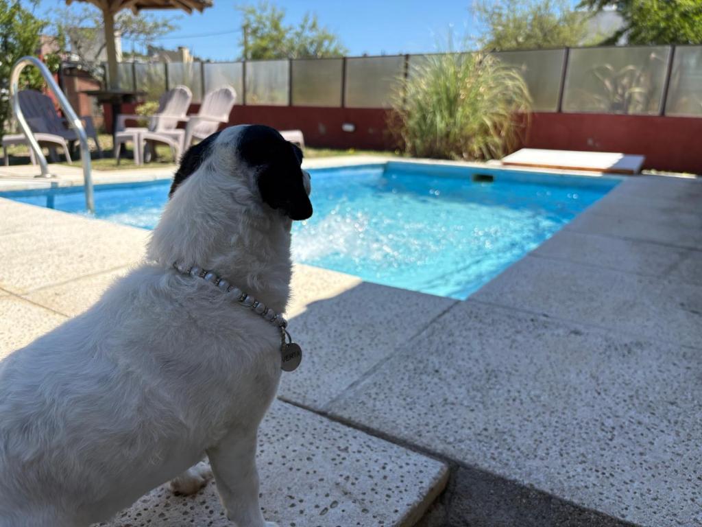 Los Frutales - 1