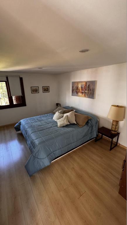 Casa Alsina - 3