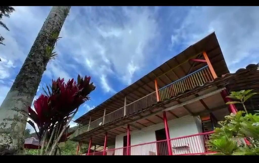 Paisa Territory Lodge - 1