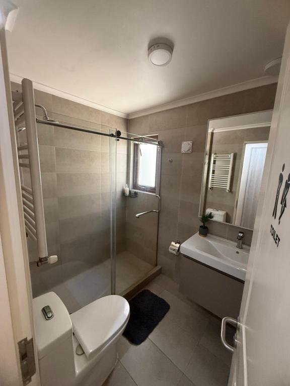 Apart Hotel Chillán - Platinum house - Parking - Wifi - Factura - 2
