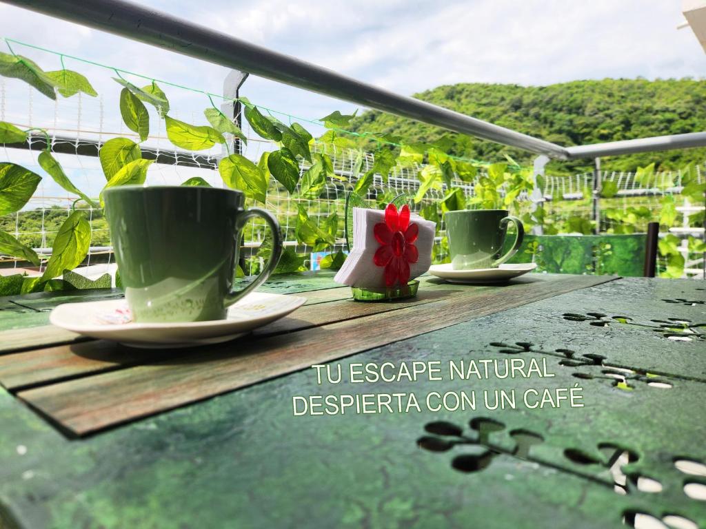 Hermoso apartamento fresco en medio de la naturaleza - 3