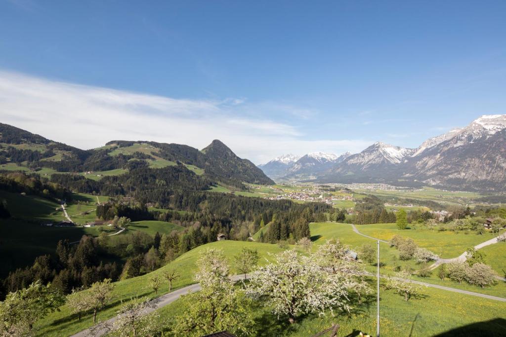 Hotel & Alpengasthof Pinzgerhof - 3