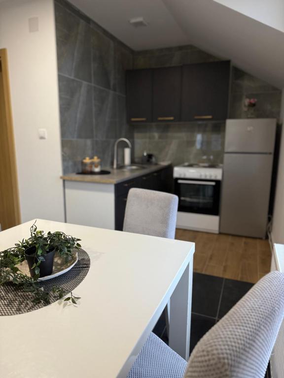 Apartman Rest Novi Sad - 4